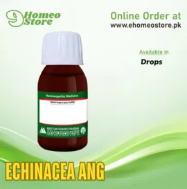 Echinacea Ang