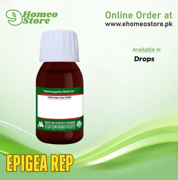 Epigea Rep