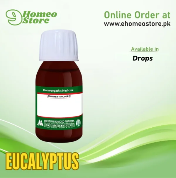 Eucalyptus