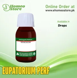 Eupatorium Perf