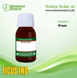 Ficus Ind