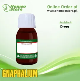 Gnaphalium