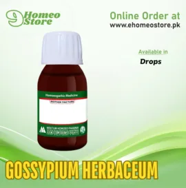 Gossypium Herbaceum