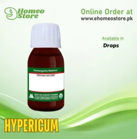 Hypericum