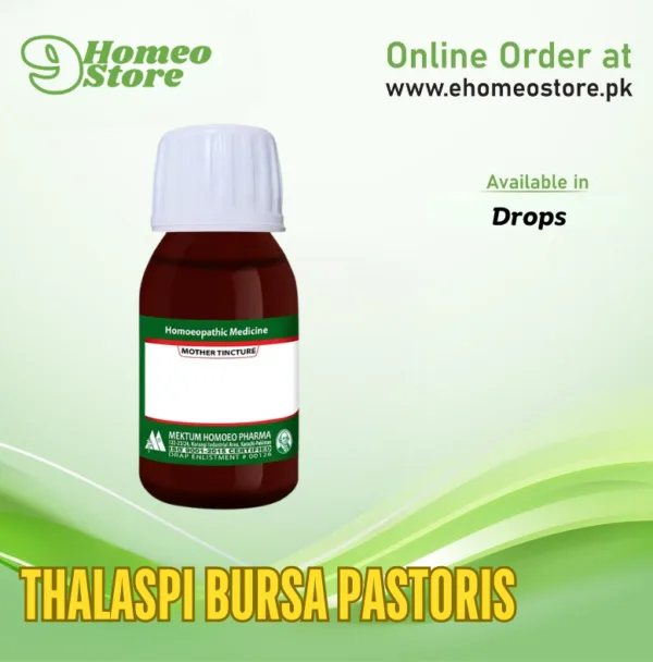 Thalaspi Bursa Pastoris by Mektum