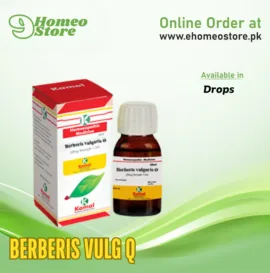 BERBERIS VULG Q price in Pakistan