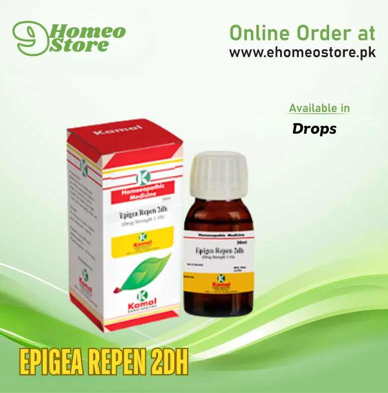 Epigea Repen 2DH price in Pakistan