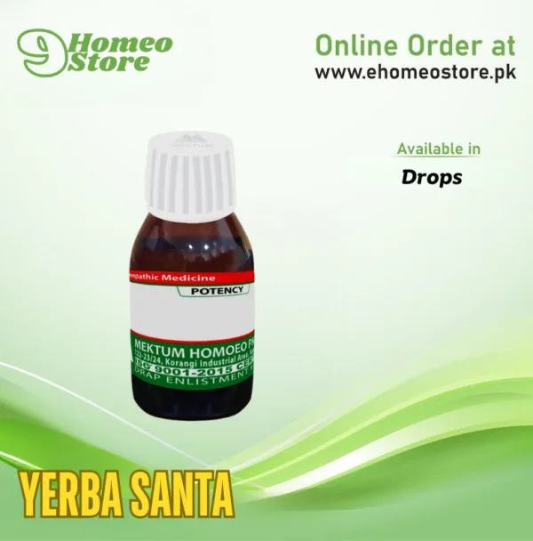 Yerba Santa by Mektum